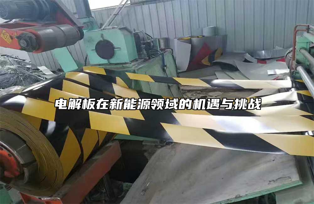 電解板在新能源領域的機遇與挑戰