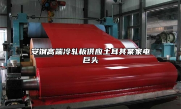安鋼高端冷軋板供應土耳其某家電巨頭